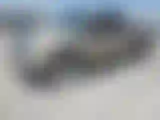 Vehicle Image- 2008 Toyota Tundra