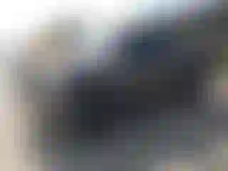 Vehicle Image- 2007 Toyota Tundra