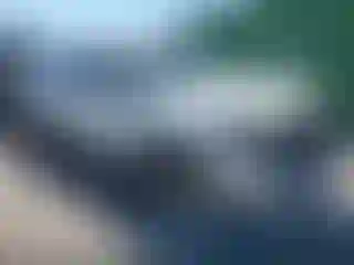 Vehicle Image- 2017 Toyota Tacoma