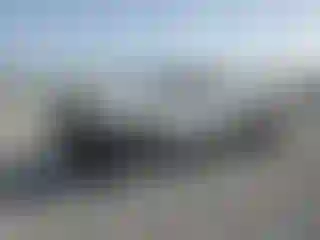 Vehicle Image- 2019 Toyota Tacoma