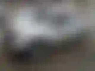 Vehicle Image- 2021 Toyota Tundra