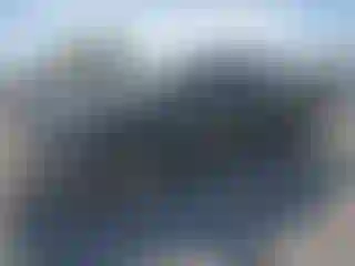 Vehicle Image- 2011 Toyota Tundra