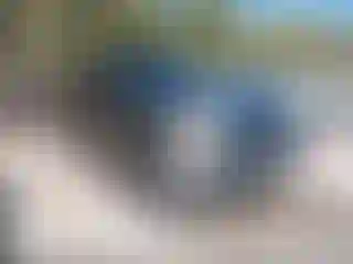 Vehicle Image- 2010 Toyota Tundra