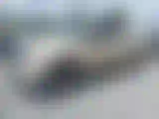 Vehicle Image- 2010 Toyota Tundra