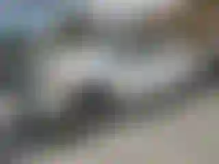 Vehicle Image- 2013 Toyota Tundra