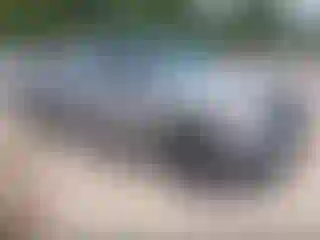 Vehicle Image- 2021 Toyota Tundra