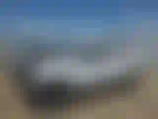 Vehicle Image- 2020 Toyota Tacoma
