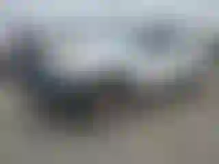 Vehicle Image- 2014 Toyota Tacoma