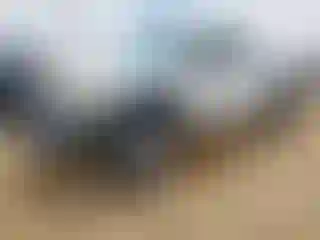 Vehicle Image- 2014 Toyota Tacoma