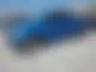 Vehicle Image- 2010 Toyota Tundra