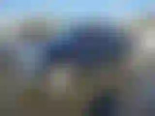Vehicle Image- 2010 Toyota Tundra