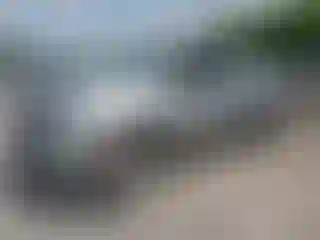 Vehicle Image- 2010 Toyota Tundra