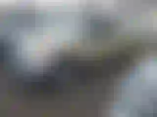 Vehicle Image- 2010 Toyota Tundra