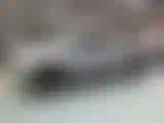 Vehicle Image- 2010 Toyota Tundra