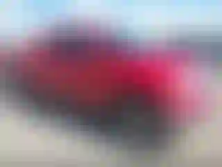 Vehicle Image- 2010 Toyota Tundra