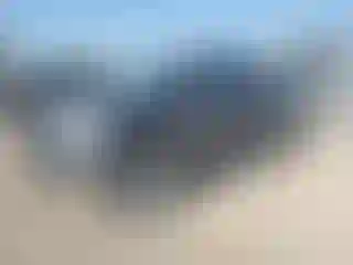 Vehicle Image- 2012 Toyota Tundra