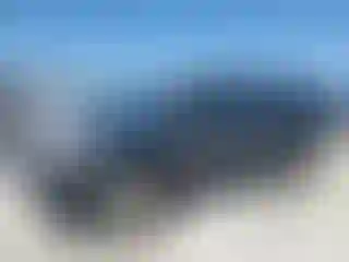 Vehicle Image- 2011 Toyota Tacoma