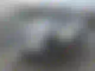 Vehicle Image- 2014 Toyota Tacoma