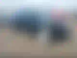 Vehicle Image- 2013 Toyota Tacoma