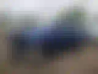 Vehicle Image- 2014 Toyota Tacoma