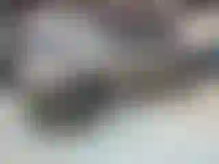 Vehicle Image- 2011 Toyota Tacoma