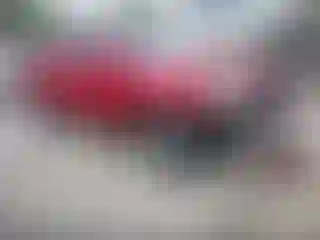 Vehicle Image- 2013 Toyota Tacoma