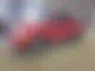 Vehicle Image- 2015 Toyota Tacoma