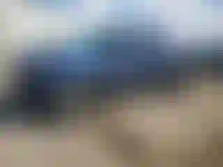 Vehicle Image- 2012 Toyota Tacoma