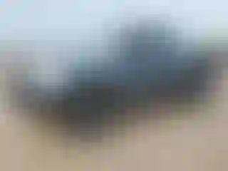 Vehicle Image- 2010 Toyota Tundra