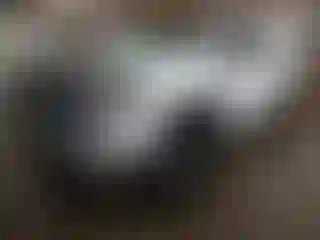 Vehicle Image- 2019 Toyota Tundra