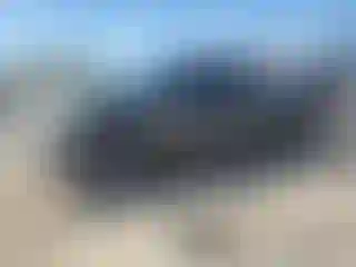 Vehicle Image- 2011 Toyota Tundra