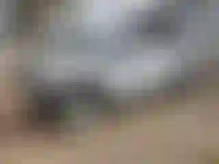 Vehicle Image- 2014 Toyota Tundra