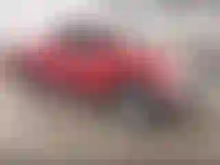 Vehicle Image- 2017 Toyota Tundra
