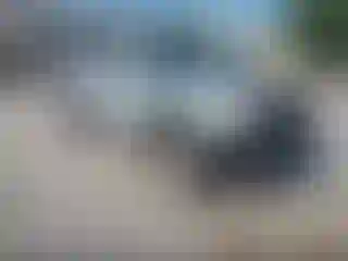Vehicle Image- 2011 Toyota Tacoma
