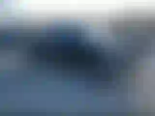 Vehicle Image- 2021 Toyota Tundra