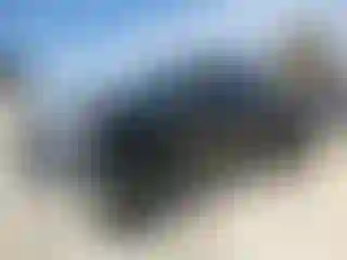 Vehicle Image- 2013 Toyota Tundra