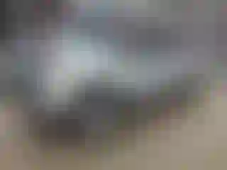 Vehicle Image- 2014 Toyota Tundra