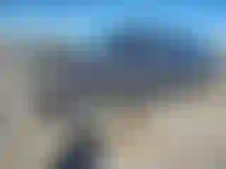 Vehicle Image- 2020 Toyota Tundra