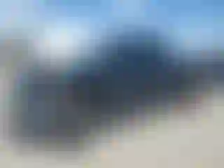 Vehicle Image- 2011 Toyota Tundra