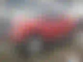 Vehicle Image- 2011 Toyota Tundra