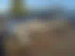 Vehicle Image- 2012 Toyota Tundra