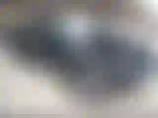 Vehicle Image- 2022 Toyota Tundra