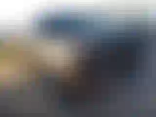 Vehicle Image- 2024 Toyota Tundra