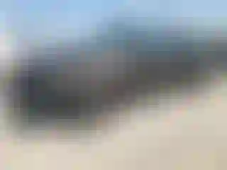 Vehicle Image- 2024 Toyota Tundra