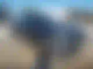 Vehicle Image- 2025 Toyota Tundra