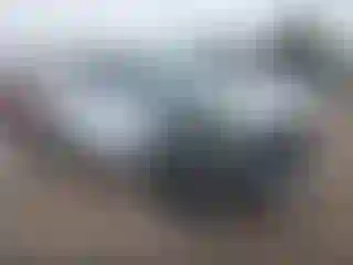 Vehicle Image- 2024 Toyota Tundra