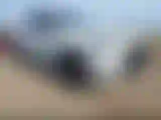Vehicle Image- 2024 BMW X5