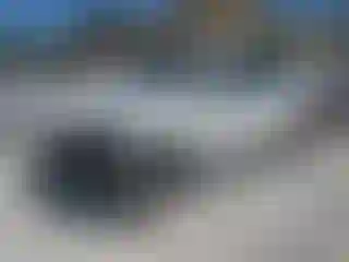 Vehicle Image- 2024 BMW X5