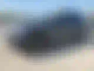 Vehicle Image- 2023 BMW X3