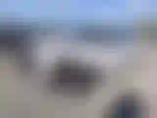 Vehicle Image- 2021 BMW X7